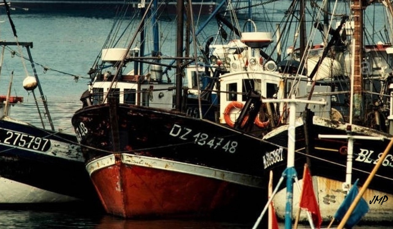 MENKALINAN DZ184748 Bagou Coz DZ